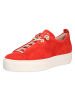 Paul Green Sneaker in rot