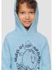 s.Oliver Sweatshirt  in  5312_himmelblau