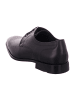 LLOYD Business Schnürschuhe in Schwarz