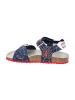 Geox Sandalen in Blau