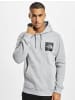 The North Face The North Face Kapuzenpullover in light grey heather