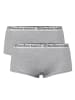 Bamboo Basics Panty 2er Pack in Grau