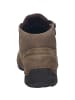 Josef Seibel Stiefelette Fergey 67 in braun