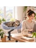 relaxdays Katzenbett "Schreibtisch" in Grau/ Schwarz - (B)44 x (H)39 x (T)33 cm