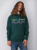 wat? Apparel Sweatshirt Retro Joystick in Glazed Green