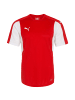 Puma Fußballtrikot Dominate in rot / weiß