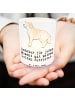 Mr. & Mrs. Panda Glas Windlicht Golden Retriever Moment mit Spruch in Transparent