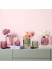 Villeroy & Boch Vase Fleur 28 cm in pink