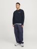 Jack & Jones Sweatshirt in Sky Captain
