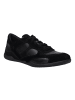 Josef Seibel Sneaker Cassandra 12 in schwarz