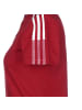 adidas Performance Poloshirt Tiro 21 in rot / weiß