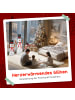 Outsunny Weihnachtsbeleuchtung-64L x 30B x 91,5H cm-Mehrfarbig