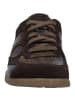 Josef Seibel Sneaker Cassandra 12 in braun