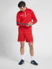Hummel Hummel Zip Sweatshirt Hmlauthentic Multisport Herren Atmungsaktiv Leichte Design in TRUE RED