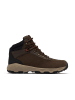 Columbia Botas Newton in Braun