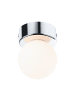 paulmann Selection Bathroom Deckenleuchte Gove
