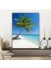 MuchoWow Leinwand bilder Palme (BxH)