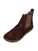 KOEL Chelsea Boots FILAS CLOUD WOOL  in braun