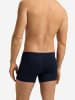 Hanro Retro Pants Casuals Daywear in deep navy