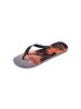 Havaianas Tong  Top Surfer I Grau