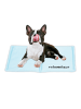 relaxdays Kühlmatte "Hund" in Hellblau - 40 x 50 cm