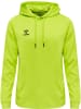 Hummel Hoodie in Grün