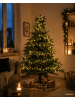 LUMINEO Lichterkette COMPACT 350 LED 7,5 m, grünes Kabel in Soft Gold