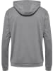 Hummel Hoodie "Hmlauthentic Pl Hoodie" in Grau