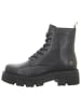 Apple of Eden Stiefeletten in schwarz