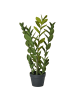 Beliani Kunstpflanze ZAMIIFOLIA in Grün/Schwarz - (W) 33 x (H) 76 x (L) 33 cm