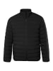 JP1880 Steppjacke in schwarz
