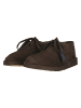 Clarks Schnürschuhe Desert Trek in 5221F Dark Brown