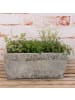 AltoBelli Blumentopf GARDA Eckig Zement Antik Grau 22x15 cm