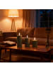 relaxdays 3 x LED Kerzen in Khaki