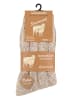 Cotton Prime® Norweger Strick-Socken 2 Paar, Unisex in beige