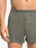 Hanro Boxer Cotton Sporty in smokey olive