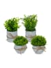 relaxdays 4-tlg. Kunstpflanzen-Set in Grün/ Grau