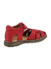 Froddo Sandalen in Rot