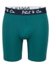 Phil & Co. Berlin  Retro Boxer Long Boxer in Bayberry + Sky Captain