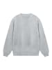F4NT4STIC Sweatshirt Escape Discover the World Tree Birds in grau meliert