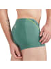 EIN SCHÖNER FLECK ERDE Boxershort 1er Pack in Hammerspitze (Eukalyptus)