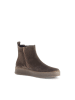 Gabor Chelsea Boots in braun