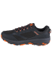 Skechers Skechers Go Run Trail Altitude in Grau