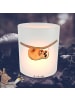 Mr. & Mrs. Panda Windlicht aus Glas Faultier Kind ohne Spruch in Transparent
