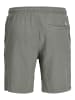 Jack & Jones Shorts in Mulled Basil