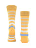 Burlington Socke Blackpool SO in Sun