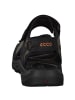 Ecco Klassische Sandalen in BLACK/MOLE/BLACK