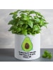 Mr. & Mrs. Panda Blumentopf Avocado Glücklich mit Spruch in Weiß