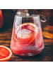 Mr. & Mrs. Panda Longdrink Glas Eichhörnchen Smoothie ohne Spruch in Transparent