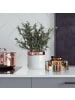relaxdays Drehteller in Transparent - (H)27 x Ø 6,5 cm